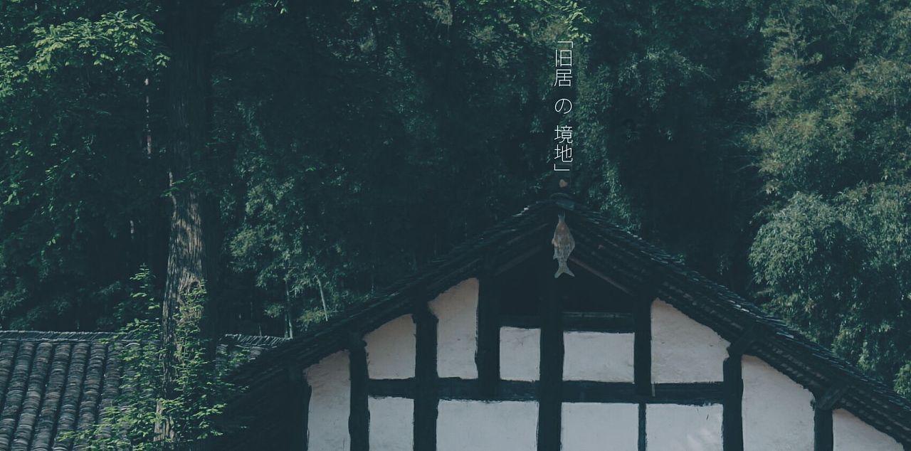 小猫钓鱼游戏龙王版有船
